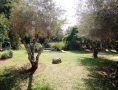 Real estate for sale in Moshavim in central Israel.